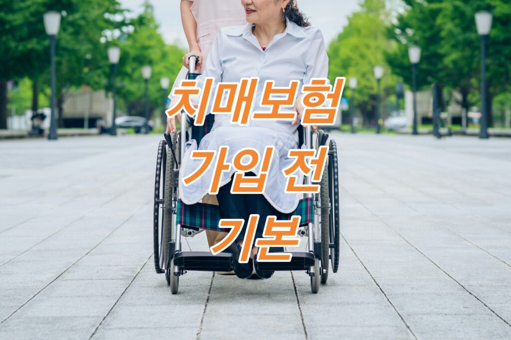 휠체어를 타는 치매노인 간병